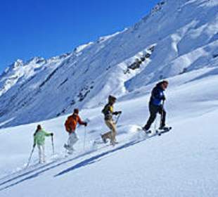 Schneeschuhwandern, Animation im Winter