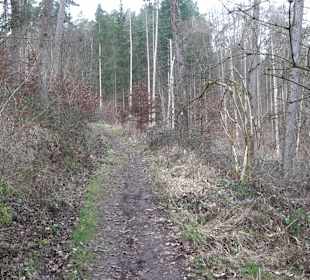 Unterjesinger Wengertwegle