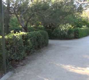 Real Jardín Botánico de Madrid