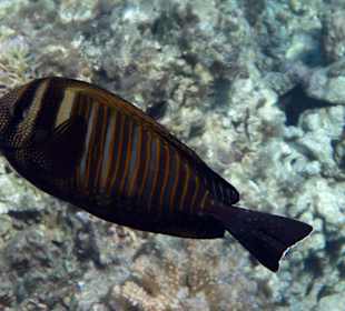 Bilder vom 13.10.16 von mir geschossen