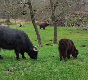 Wandern Burg (Spreewald)