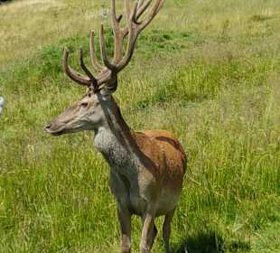 Wandergebiet Schennaberg