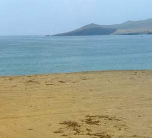 Nationalreservat Paracas