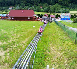 Sommerrodelbahn Gutach in Gutach im Schwarzwald 