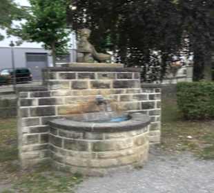 Gänswiese