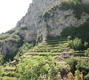 Abwechslungsreiche Landschaft