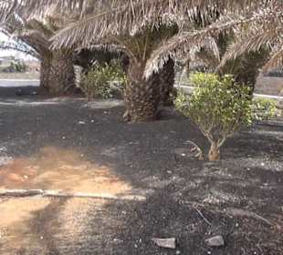 Parroquia San Francisco Javier 