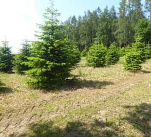 Rundwanderung Petersberg