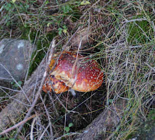 Riesengebirge/Karkonosze