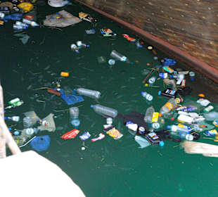 Heiko sei Dank Bilder Oman Fjord Dhaufahrt