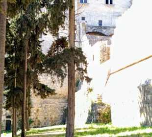 Im Festungsgraben zwischen den Mauern