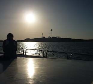 Die untergehende Sonne auf Mahmya