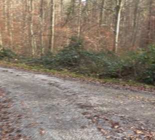 Alter Abteilungsstein 1