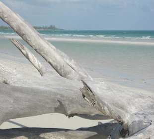 Gold Rock Beach (Gold Coast)