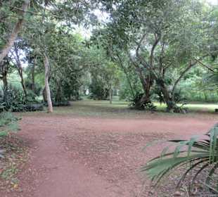 Ein Spaziergang auf dem Ruinen Gelände