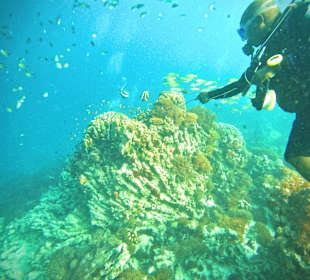 Schnorcheln Kiwengwa Beach