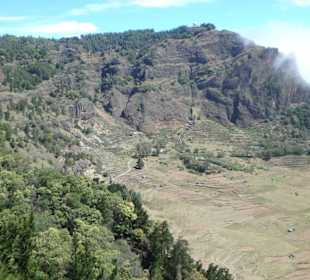 Terrassen an den Hängen der Cova de Paúl