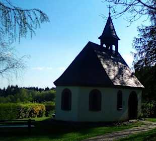 Panoramaweg Sankt Wendeler Land in Nonnweiler