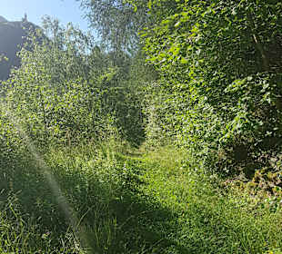 Wandern Senales / Schnals