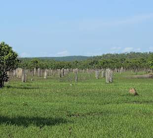 Litchfield NP