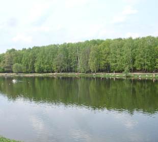 Усадьба Кузьминки