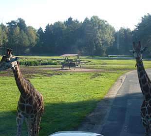 Serengeti Park