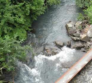 Mit der Train in der Natur Alaskas