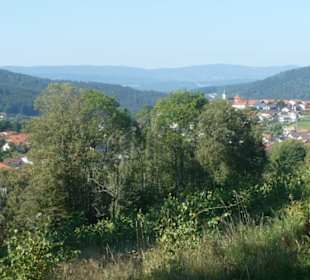 Wanderung / Spaziergang in / bei Bodenmais