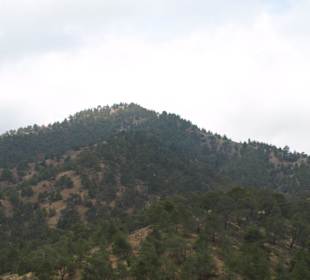 Troodos Gebirge