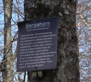 Geologischer Lehrpfad Kirnbachtal