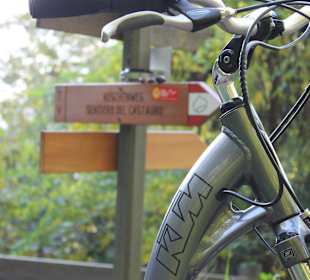 Mit dem e-bike am Keschtnweg bei Bozen