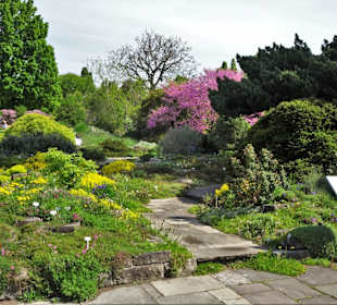 Spaziergang durch den Berggarten Hannover