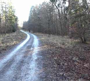 Wanderung rund um den Ochsenweiher