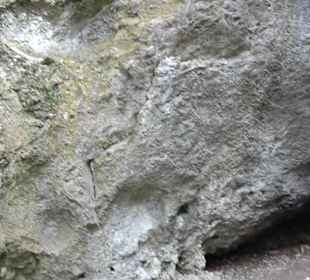 Wanderung rund um das Rusenschloss Gerhausen