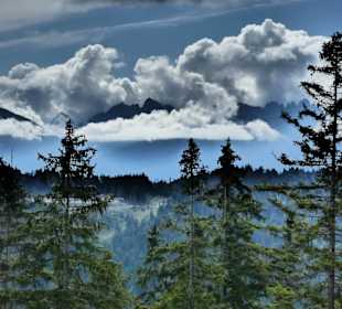 Blick vom Brunschkopf