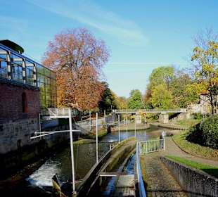 Wildwasserstrecke an der Bischofsmühle