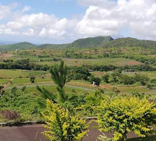 Geführte Touren Andrea Rodrige