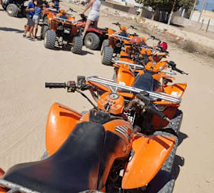 Quad Tour Midoun
