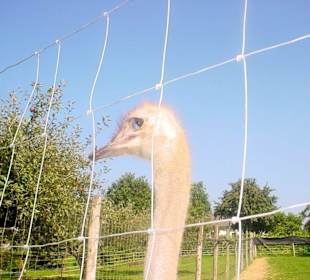 Hallo, bin ich nicht schön