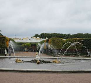 Park Dolny Peterhof