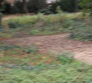 Gedenkstätte Alter Jüdischer Friedhof