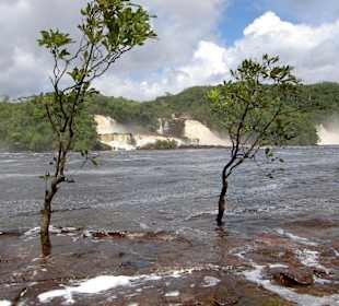Wasserfälle Canaima