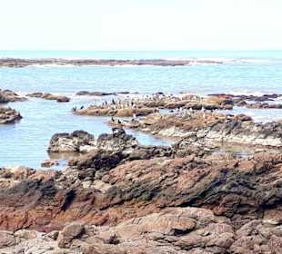 Stadtrundgang Punta del Este