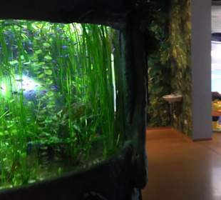  Lego X-Treme - Legoland Atlantis by SEA LIFE