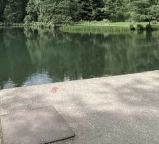 Kinzigsee