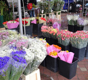 Eindrücke vom Wochenmarkt Nuoro