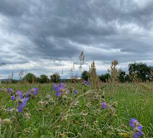 Wandern Kahl am Main
