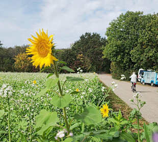 Wandern Bad Füssing