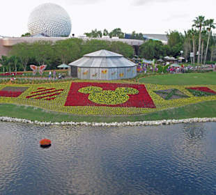Mickey's Blumenmeer