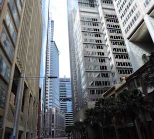 Mit dem Hop-on hop-off Bus in Sydney unterwegs